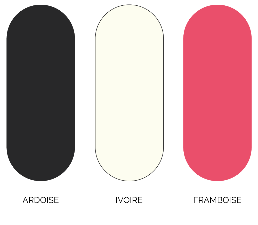 Palette chromatique raffinée - sélection stratégique des couleurs pour la marque